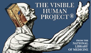 Visible Human Project